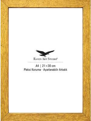Raven Art Studio Potala A4-21X30CM Antik Altın Resim Fotoğraf Belge Poster Evrak Çerçevesi Korumalı Kırılmaz Pleksi Cam