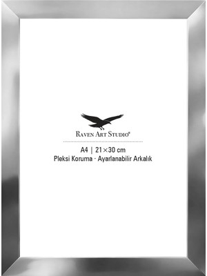 Raven Art Studio Potala A4-21X30CM Gümüş Resim Fotoğraf Belge Poster Evrak Çerçevesi Korumalı Kırılmaz Pleksi Cam