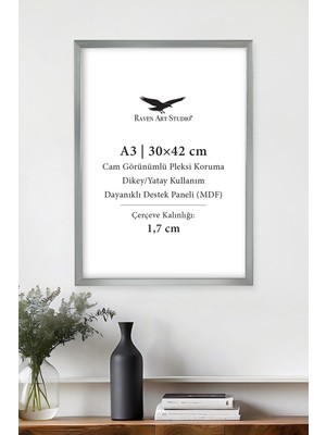 Raven Art Studio Ermitaj A3 Ebat 30CM x 42CM Gümüş Resim Fotoğraf Belge Poster Evrak Çerçevesi Korumalı Kırılmaz Pleksi Cam