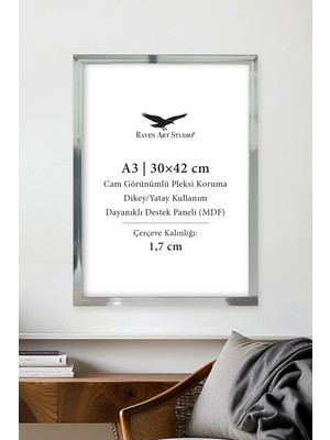 Raven Art Studio Ermitaj A3 Ebat 30X42CM Inox Gümüş Resim Fotoğraf Belge Poster Evrak Çerçevesi Korumalı Kırılmaz Pleksi Cam