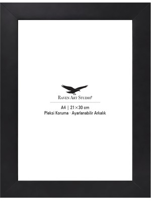 Raven Art Studio Modern A4-21X30CM Siyah Resim Fotoğraf Belge Poster Evrak Çerçevesi Korumalı Kırılmaz Pleksi Cam