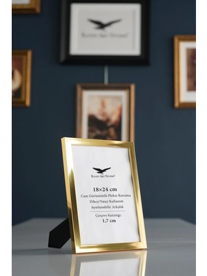 Raven Art Studio Ermitaj 18X24 cm Inox Altın Resim Fotoğraf Belge Poster Evrak Çerçevesi Korumalı Kırılmaz Pleksi Cam