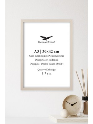 Raven Art Studio Ermitaj A3 Ebat 30CM x 42CM Sedef Resim Fotoğraf Belge Poster Evrak Çerçevesi Korumalı Kırılmaz Pleksi Cam
