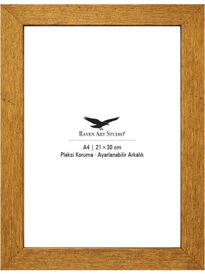 Raven Art Studio Modern A4-21X30CM Antik Altın Resim Fotoğraf Belge Poster Evrak Çerçevesi Korumalı Kırılmaz Pleksi Cam