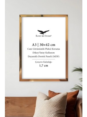 Raven Art Studio Ermitaj A3 Ebat 30CM x 42CM Inox Bronz Resim Fotoğraf Belge Poster Evrak Çerçevesi Korumalı Kırılmaz Pleksi Cam