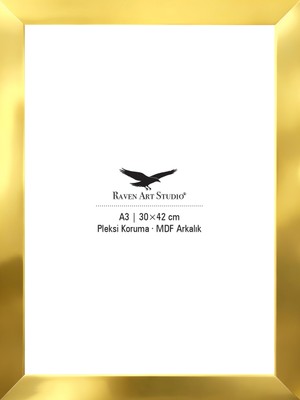 Raven Art Studio Potala A3-30X42CM Altın Resim Fotoğraf Belge Poster Evrak Çerçevesi Korumalı Kırılmaz Pleksi Cam