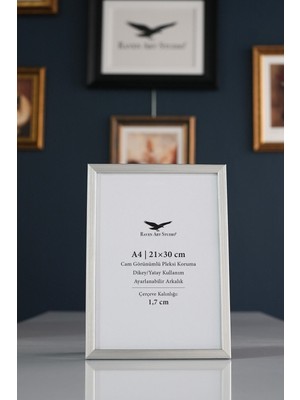 Raven Art Studio Ermitaj A4 Ebat 21CM x 30CM Inox Gümüş Resim Fotoğraf Belge Poster Evrak Çerçevesi Korumalı Kırılmaz Pleksi Cam