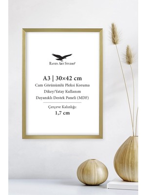 Raven Art Studio Ermitaj A3 Ebat 30CM x 42CM Altın Resim Fotoğraf Belge Poster Evrak Çerçevesi Korumalı Kırılmaz Pleksi Cam