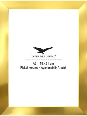 Raven Art Studio Potala A5-15X21CM Altın Resim Fotoğraf Belge Poster Evrak Çerçevesi Korumalı Kırılmaz Pleksi Cam