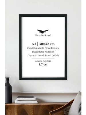 Raven Art Studio Ermitaj A3 Ebat 30CM x 42CM Siyah Resim Fotoğraf Belge Poster Evrak Çerçevesi Korumalı Kırılmaz Pleksi Cam