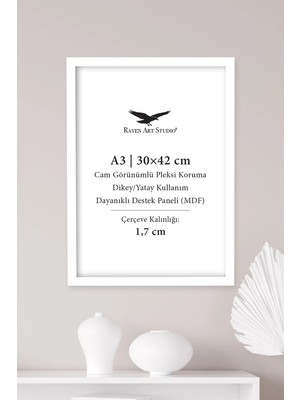 Raven Art Studio Ermitaj A3 Ebat 30CM x 42CM Beyaz Resim Fotoğraf Belge Poster Evrak Çerçevesi Korumalı Kırılmaz Pleksi Cam