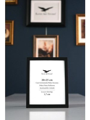 Raven Art Studio Ermitaj 20X25CM Siyah Resim Fotoğraf Belge Poster Evrak Çerçevesi Korumalı Kırılmaz Pleksi Cam