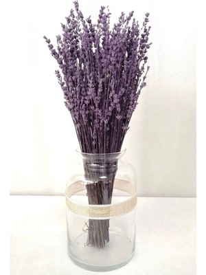 Şoklanmış Dökülmez Lavanta Demeti