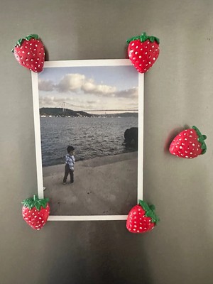 5’li Çilek Magnet/fotoğraf Magneti/dolap Süsü