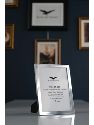 Raven Art Studio Ermitaj 18X24 cm Inox Gümüş Resim Fotoğraf Belge Poster Evrak Çerçevesi Korumalı Kırılmaz Pleksi Cam