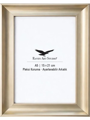 Raven Art Studio Pyramid 15X21CM Platin Resim Fotoğraf Belge Poster Evrak Çerçevesi Korumalı Kırılmaz Pleksi Cam