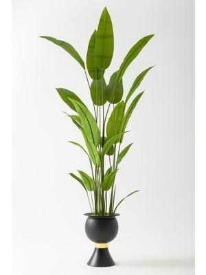 Güleç Yapay Çiçek Yapay Starliçe Ağacı 220 cm 24 Yaprak