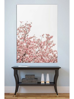 Mushen Studio Pembe Kiraz Çiçekleri Tablo - Sakura Baharı Dal Manzarası Duvar Sanatı