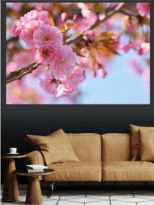 Mushen Studio Pembe Kiraz Çiçeği Sakura Dalları Bahar Kanvas Tablo