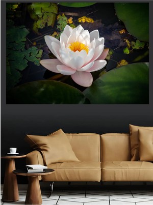 Mushen Studio Beyaz Nilüfer Çiçeği Su Yüzeyi Doğa Kanvas Tablo