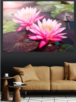 Mushen Studio Pembe Nilüfer Çiçekleri Su Üzerinde Lotus Kanvas Tablo