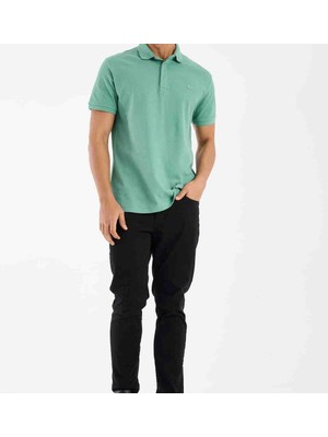 Lacoste Polo Paris Çağla Yeşili Regular Fit