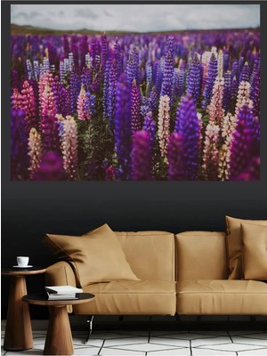 Mushen Studio Renkli Lupin Tarlası Mor Pembe Çiçekler Doğa Kanvas Tablo