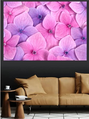 Mushen Studio Ortanca Çiçekleri Pembe Mor Yakın Çekim Kanvas Tablo