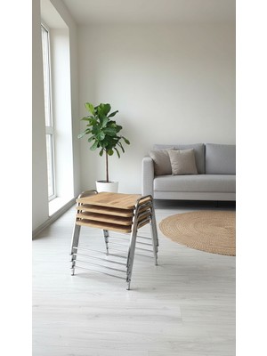 Sofex 4'lü Tepsi Model Modern Sehpa