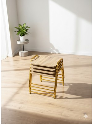 Sofex 4'lü Tepsi Model Modern Sehpa