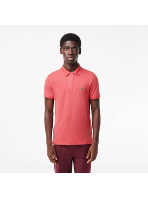  collection lacoste erkek regular fit beyaz polo