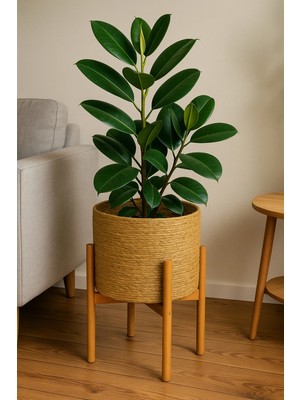 ada ahşap oyma ve çerçevecilik Hasır Saksı Bambu Standlı