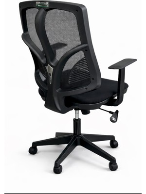 Chairlife Next / Siyah, Ofis,ev,genç Odası,sabit Kollu Çalışma Koltuğu