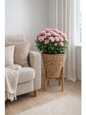 ada ahşap oyma ve çerçevecilik Hasır Saksı Standlı