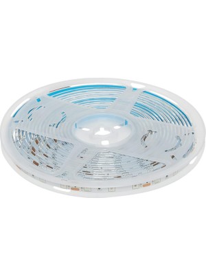 Nacario Ct 4490 5630 Chıp Dış Mekan Şerit Led, Yeşil, 1m