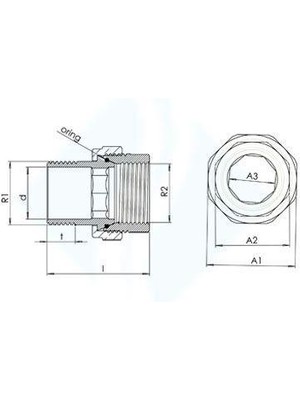 Mestore 1 1/4 Düz Radyatör Rakoru - 9996669920210