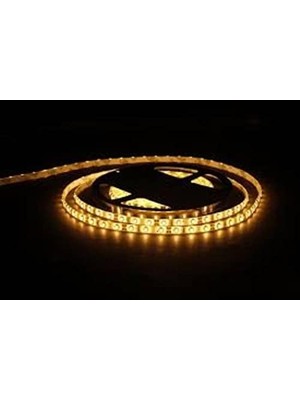 Nacario CT-4488 10 Çip Dış Mekan Günışığı Şerit LED