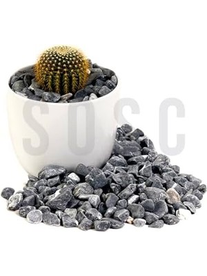 Nacario Çakıl Taşı Dolomit Taşı Bahçe Süsü Akvaryum Taşı Dere Çakıl Taşı 1-2 cm 3 kg