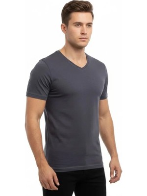 Aesco Erkek T-Shirt V Yaka Slim Fit Dar Kesim Likralı Tişört Günlük Basic Body - Füme