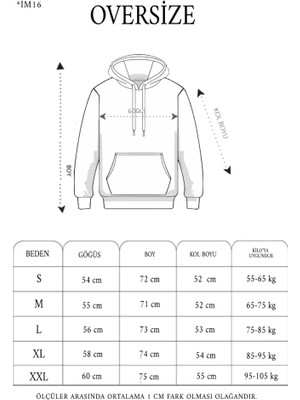 Aesco 3 Iplik Kapşonlu Sweatshirt Hoodie - Siyah