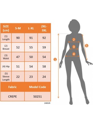 Aesco Kadın Yaka ve Kol Pul Payet Şeritli Ithal Krep Elbise