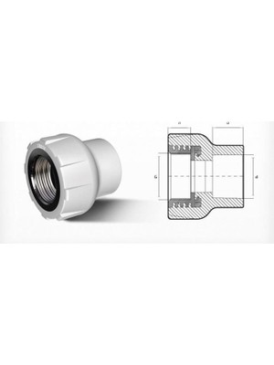 Mestore Ege Yıldız Pprc 25X1/2 Dişi Adaptör Gri - 9996669906375