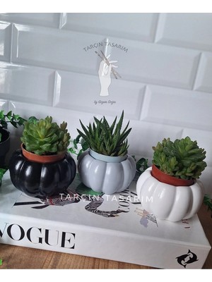Tarçın Tasarım El Yapımı 3'lü Kabak Tasarımlı Mini Dekoratif Saksı (Kaktüs Dahil Değildir)