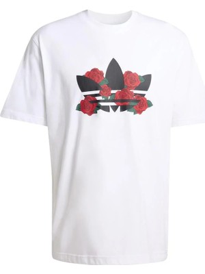 Adidas  Erkek Beyazs  T-Shirt Gfx T KS7614