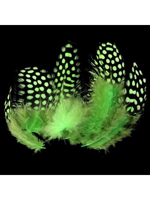 Oktay Sesal Decor Green Bırd Feather 50 Adet Puantiyeli Yeşil Siyah Kuş Tüyü Yeşil Kuş Tüyü Şeffaf Balon Tüyü