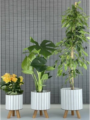 Bahçem Ayaklı Ahşap 3'lü Dekoratif Yuvarlak Saksı Seti Plastik Iç Saksılı (Çiçeksiz)