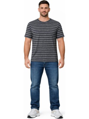 Alexandergardı Çizgili Bisiklet Yaka T-Shirt (138281)