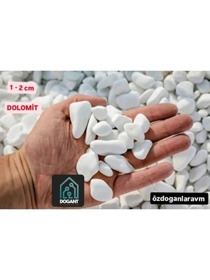 Dogant Peyzaj Saksı Dere Dolomit Teraryum Akvaryum 4 kg Taş
