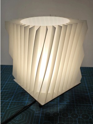 Dekoratif 3D Pla Baskı Modern Tasarımlı Abajur V5