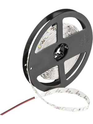 Leaf Shop CT-4486 10ç Iç Mekan 4000K LED Şerit(5mt)